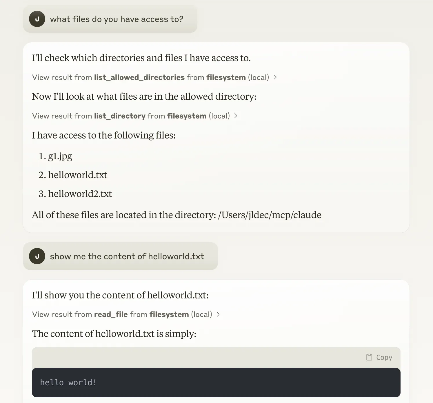 Screenshot of chat with Claude to inspect the local filesystem