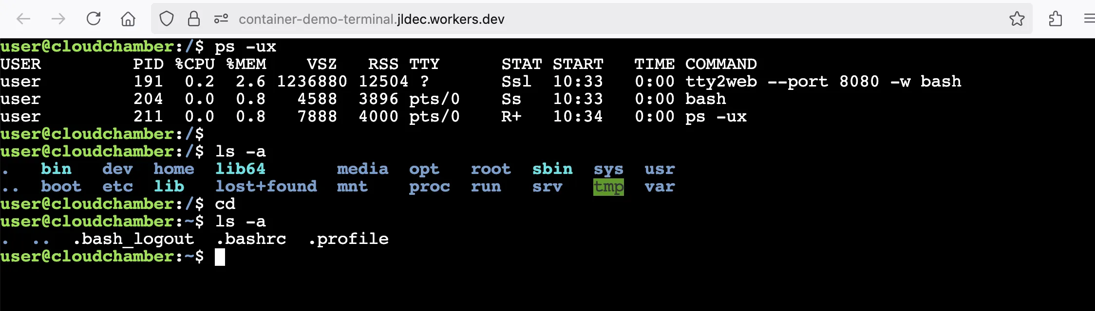Screenshot of terminal running top in the container